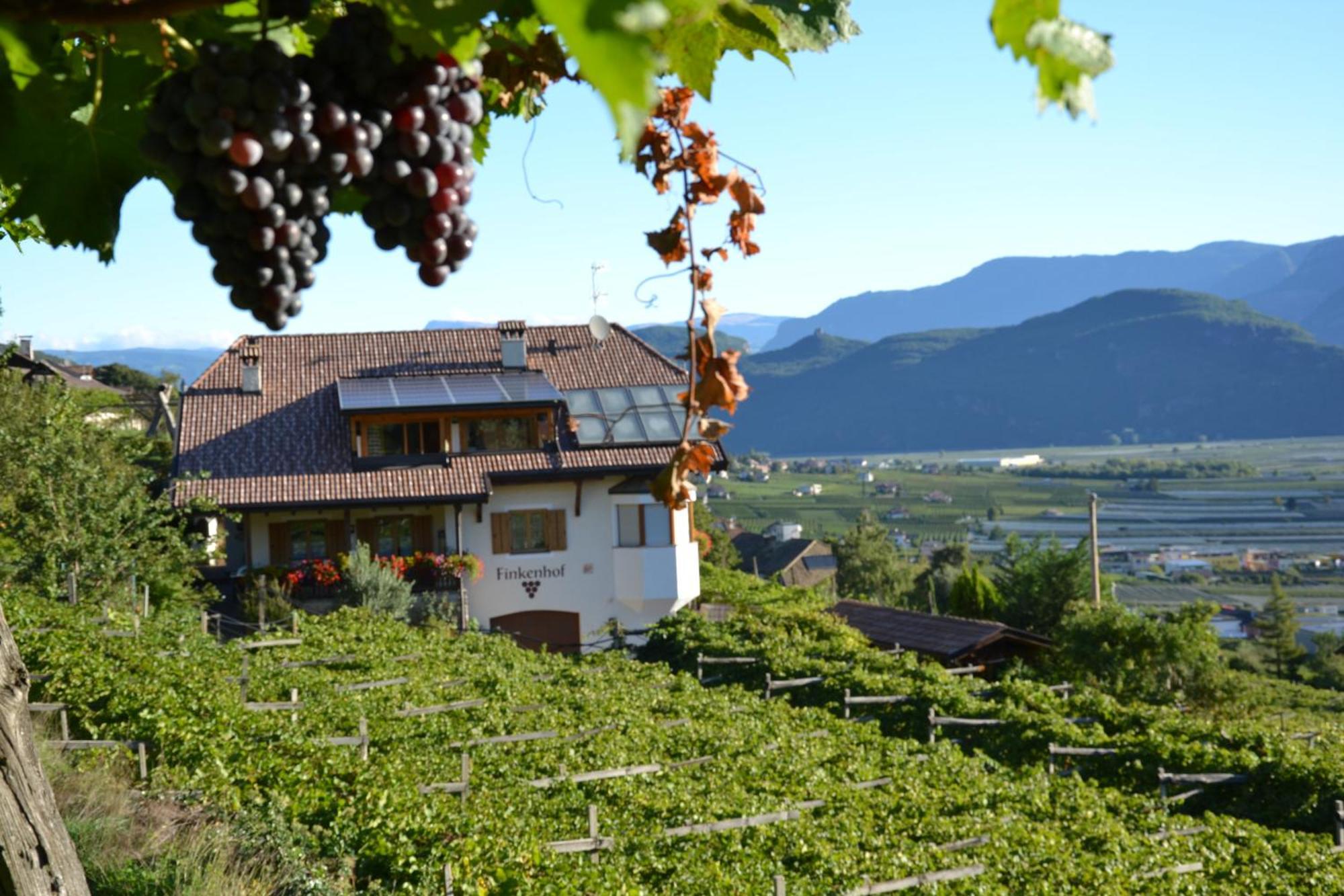 Apartamento Finkenhof: Ferienwohungen - Urlaub Auf Dem Bauernhof Termeno Exterior foto